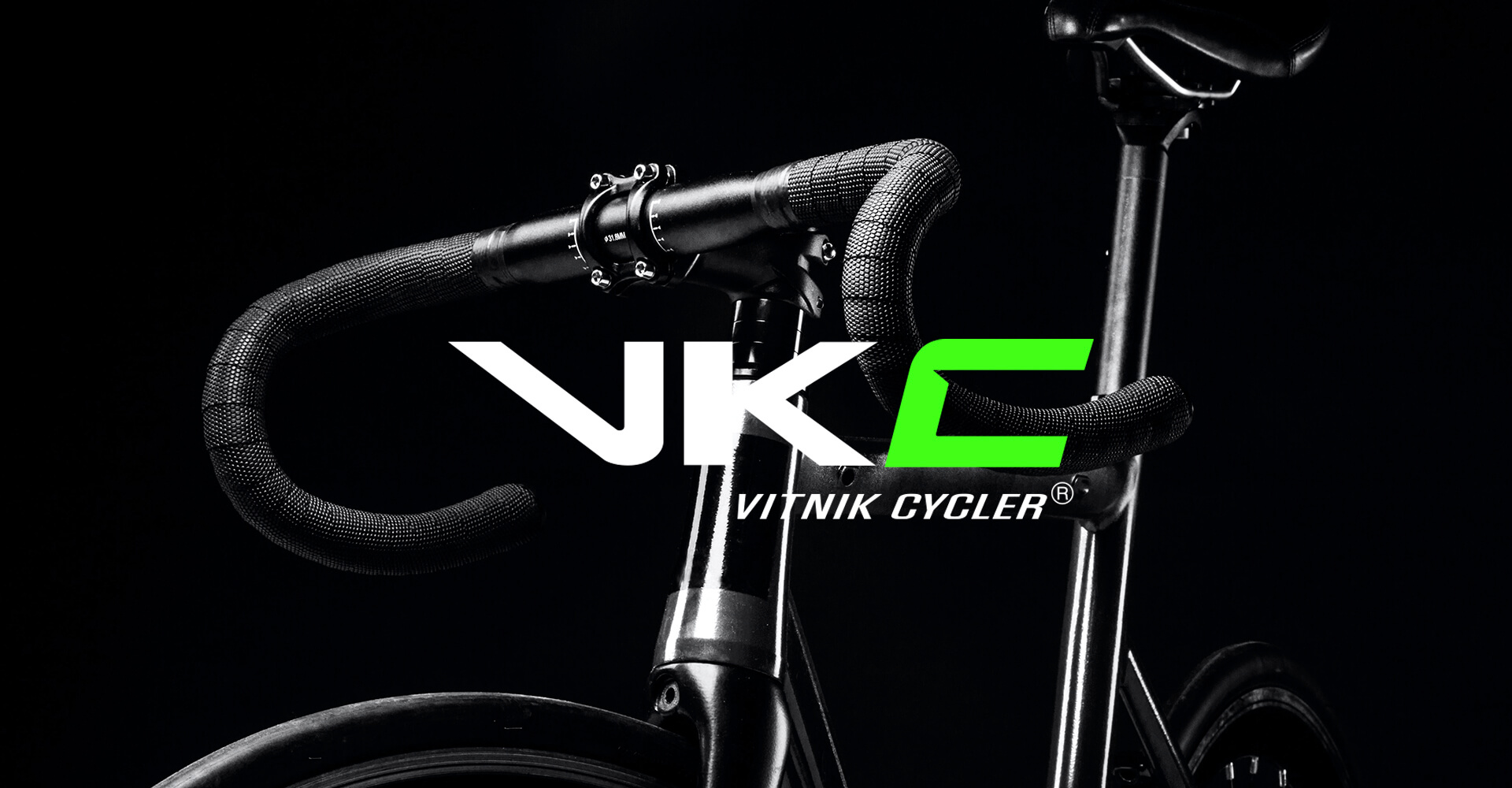 Vitnik